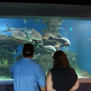 Meet your Posher, Melanie